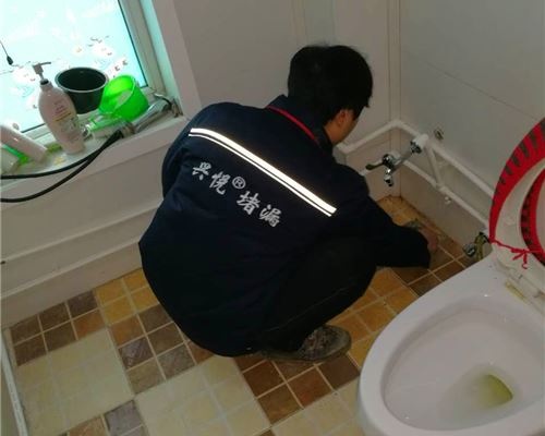 成功案例